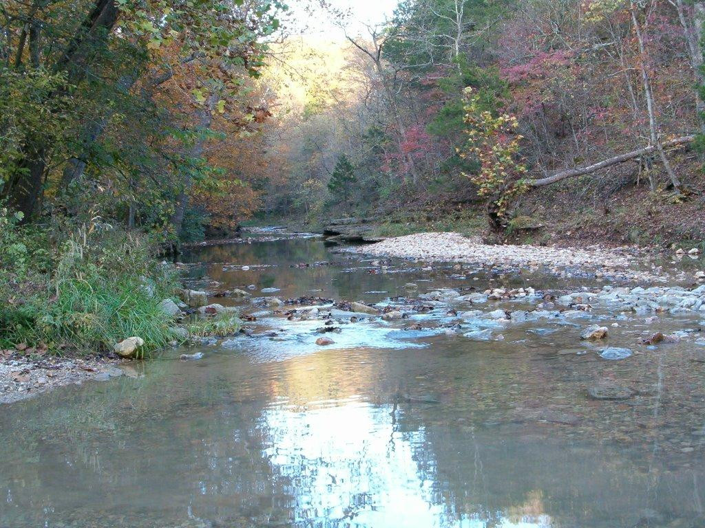 Reifsnider State Forest景点图片