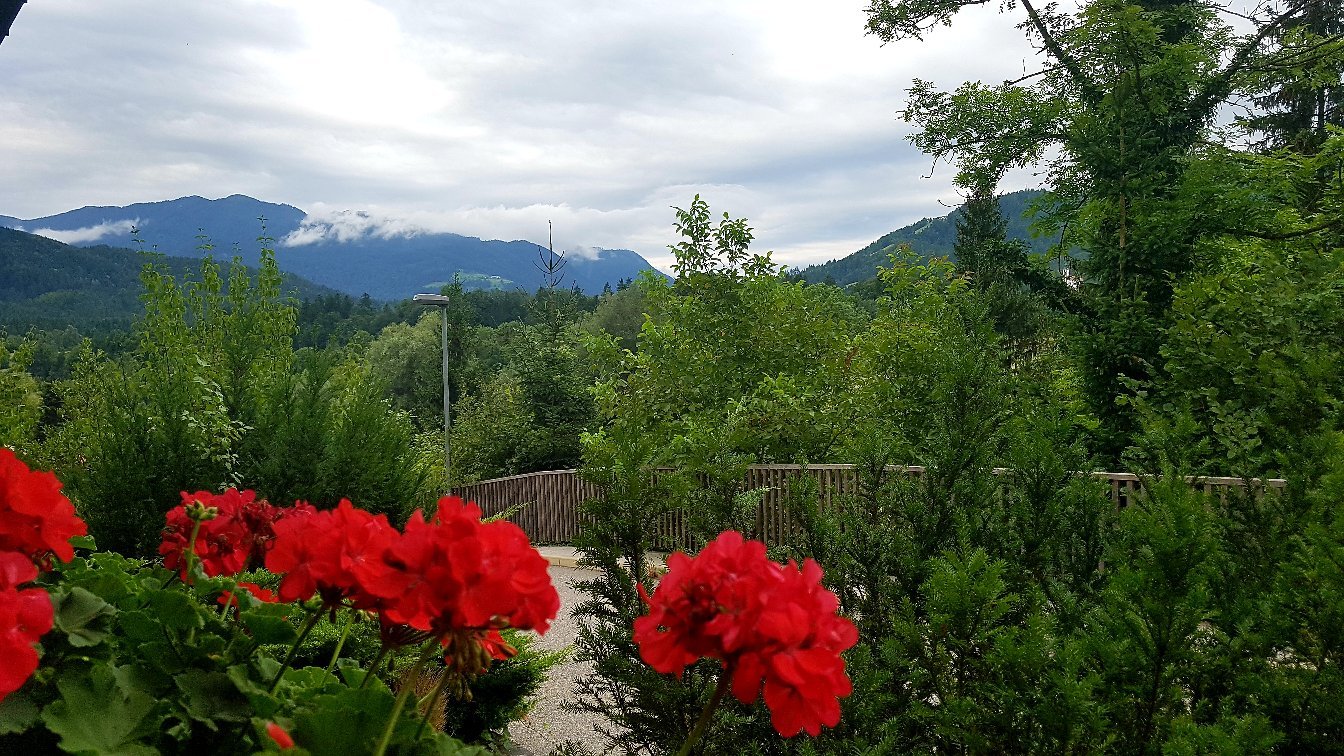 Sport Center Prodnik-官方