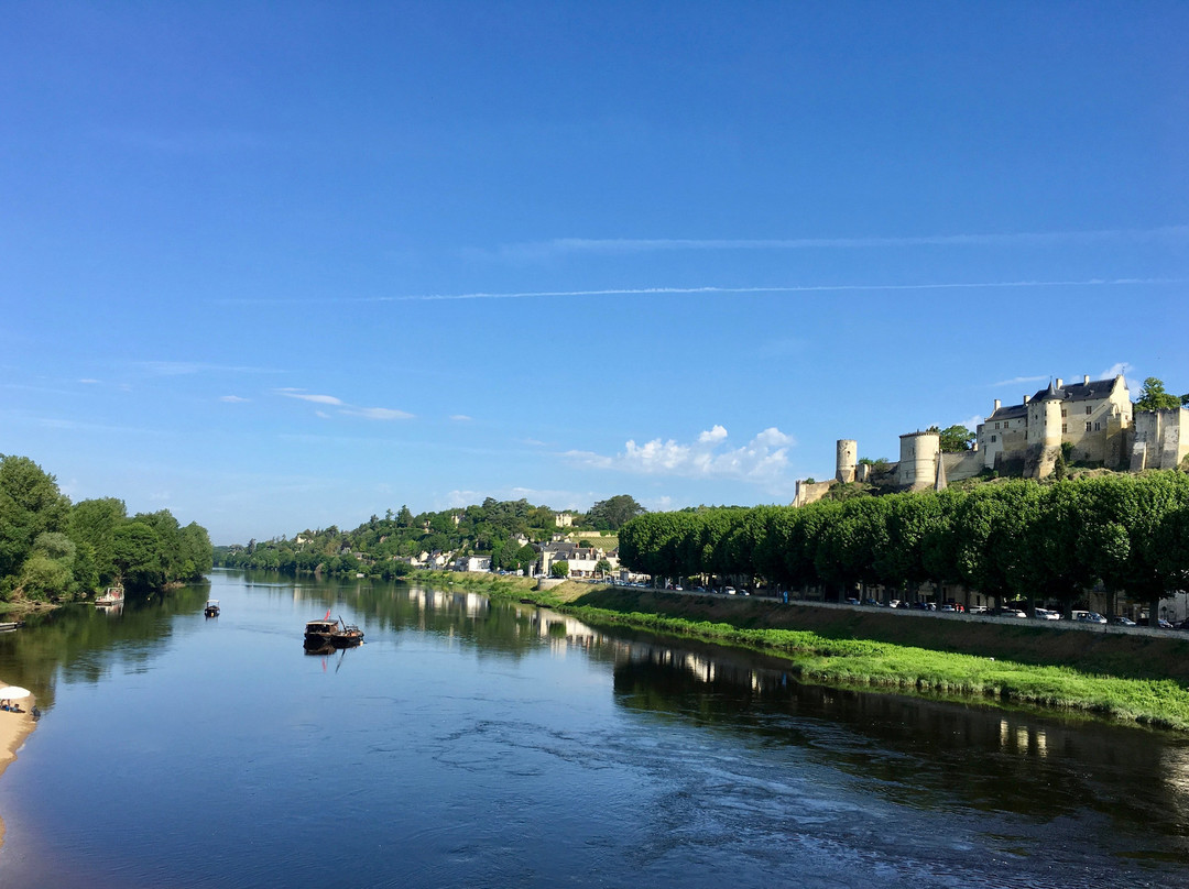 La Villa De Chinon主图