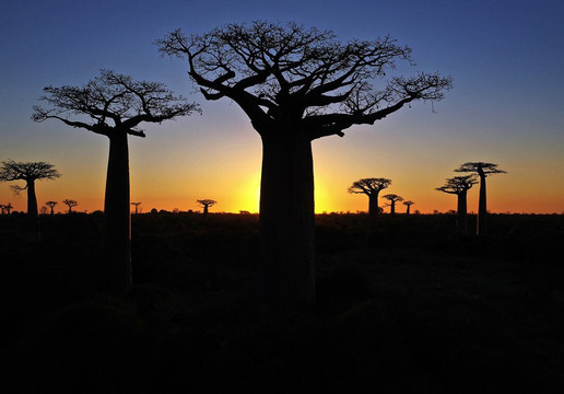 Travel to Madagascar