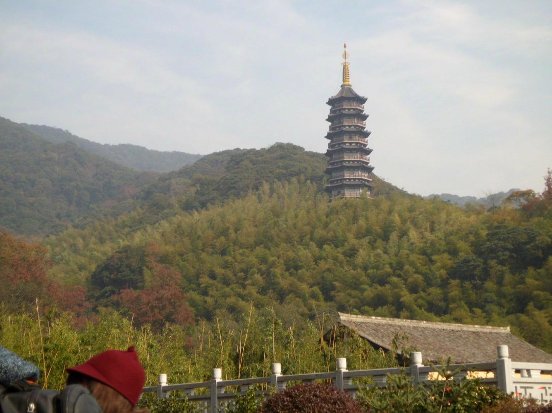 天童国家森林公园