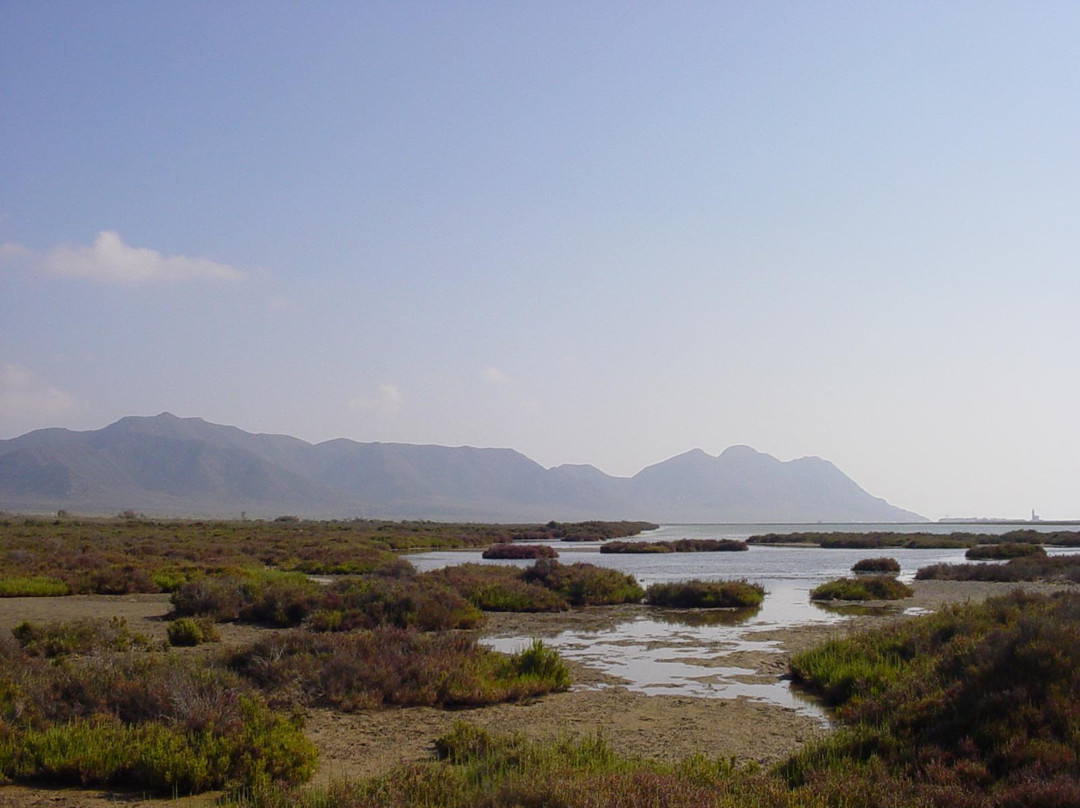 Las Salinas景点图片