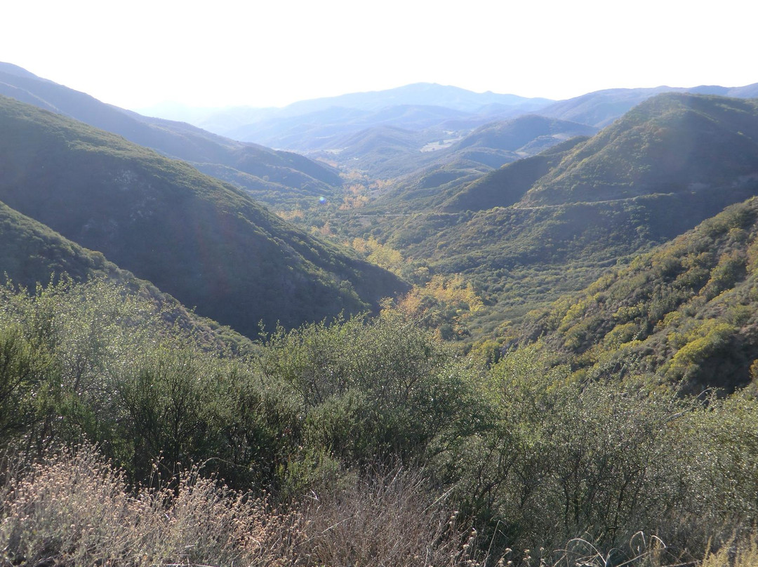 Big Sycamore Canyon Hike景点图片