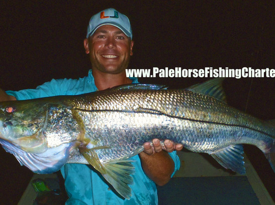 Pale Horse Fishing Charters