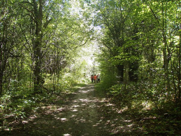 Long Sault Conservation Area景点图片