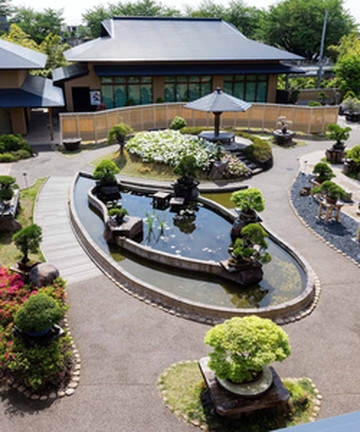 The Omiya Bonsai Art Museum Saitama景点门票图片
