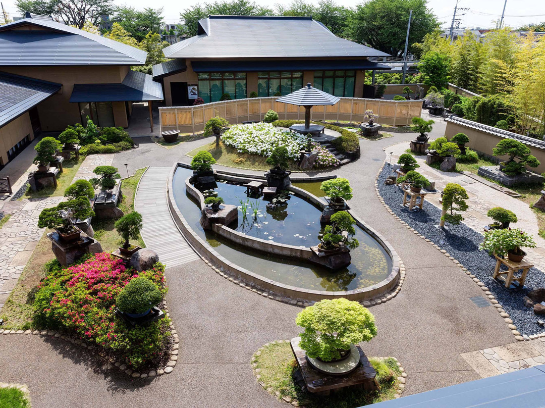 埼玉市旅游景点-The Omiya Bonsai Art Museum Saitama