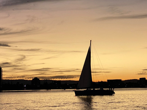 Sun Sailing Sailing Cruises & Private Charters-冲浪者天堂必去景点