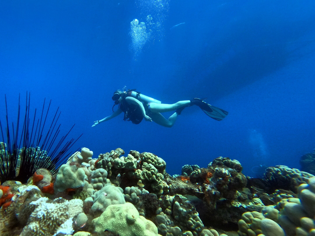 West Maui Expeditions