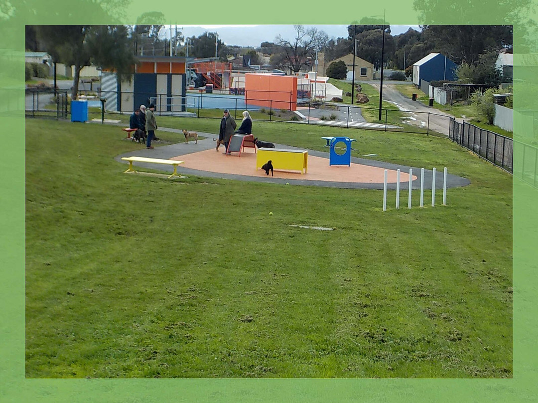 Ararat Dog Park景点图片