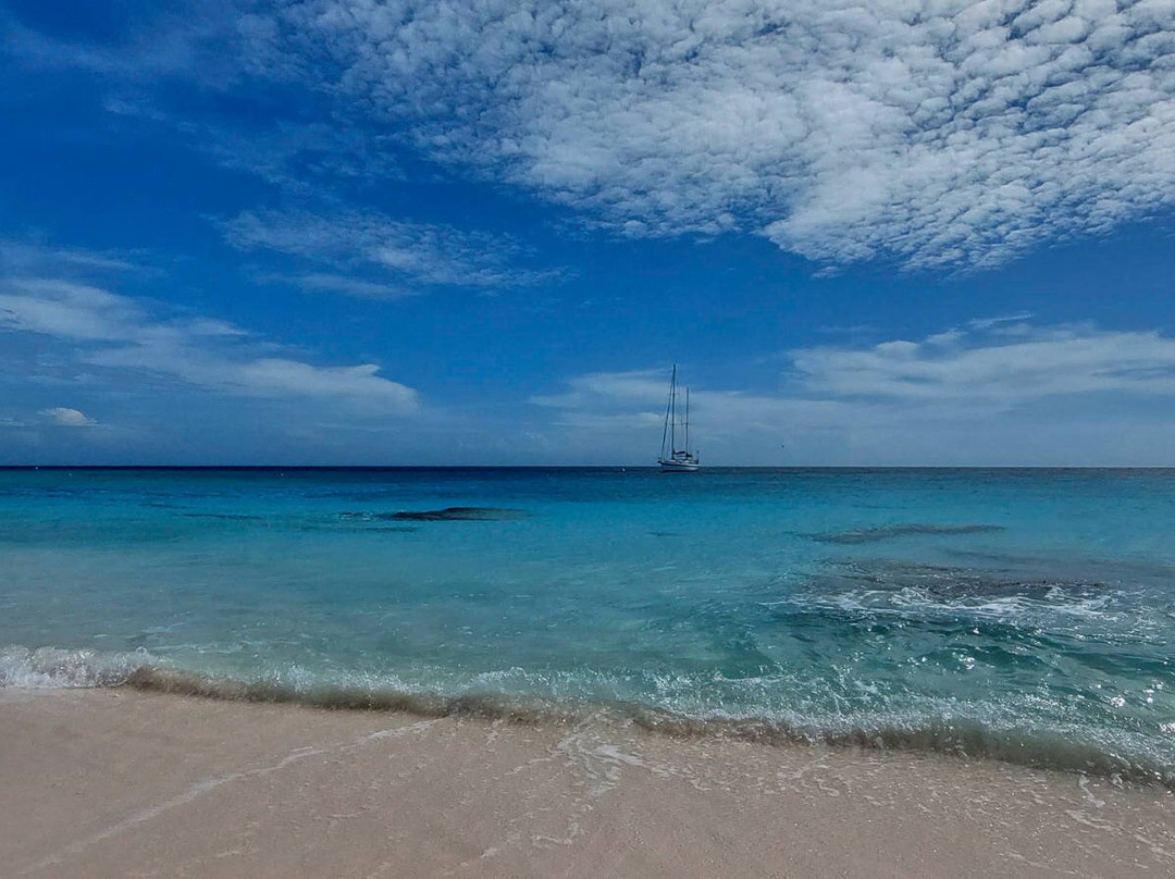 Sailing Charter Caribbean景点图片