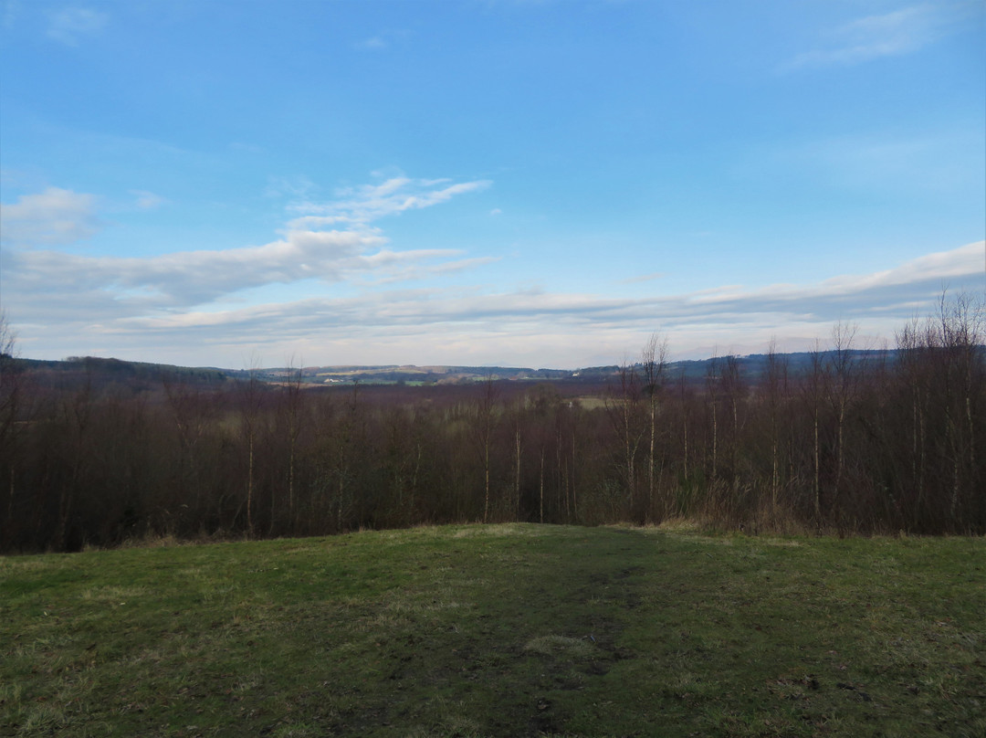 Balgownie Woodland Walks-Blairhall必去景点