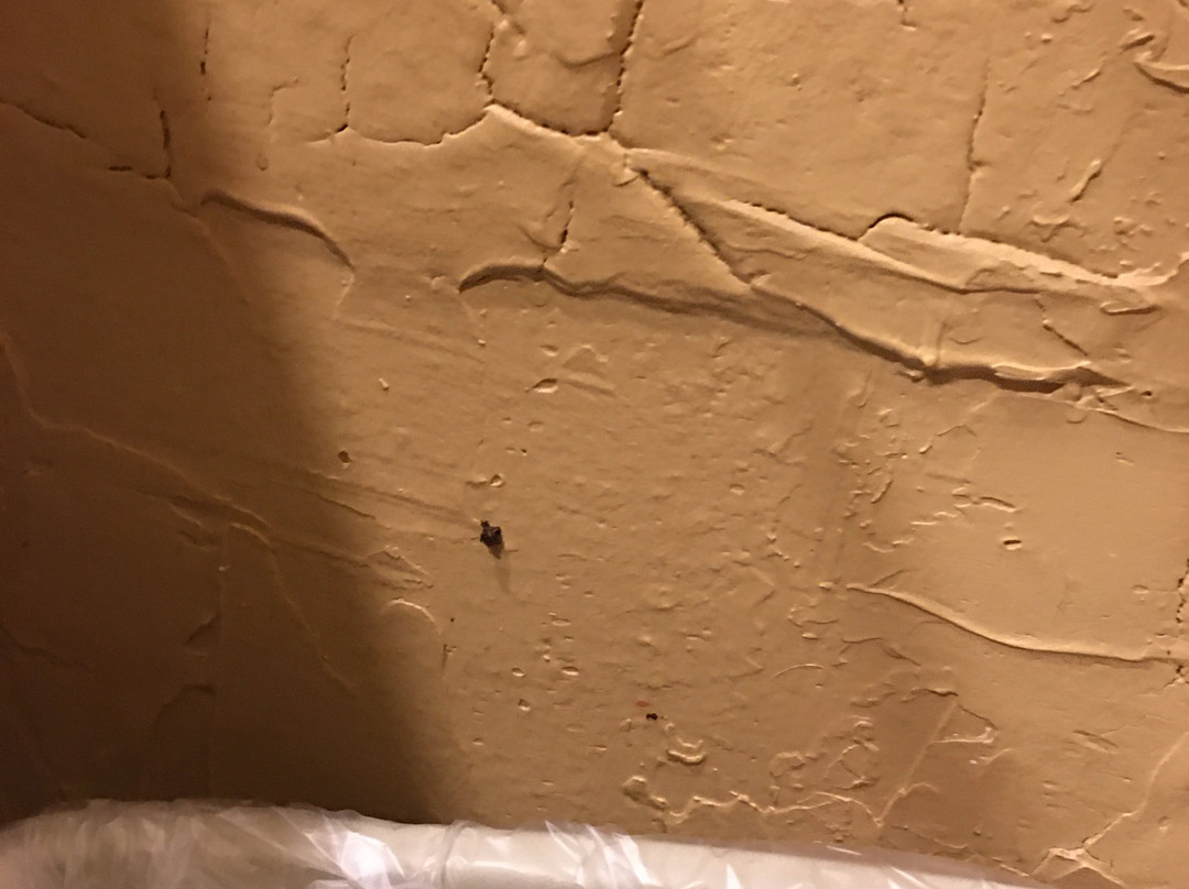 Y.O. Ranch Hotel主图