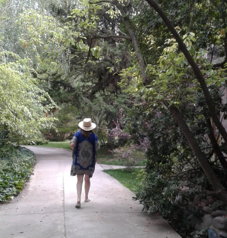 卡萨格力比尼雅斯酒店主图