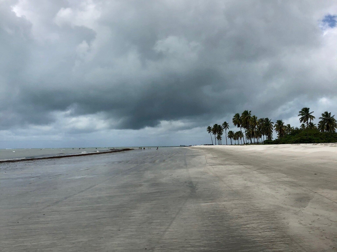 Ponta de Lucena Beach景点图片