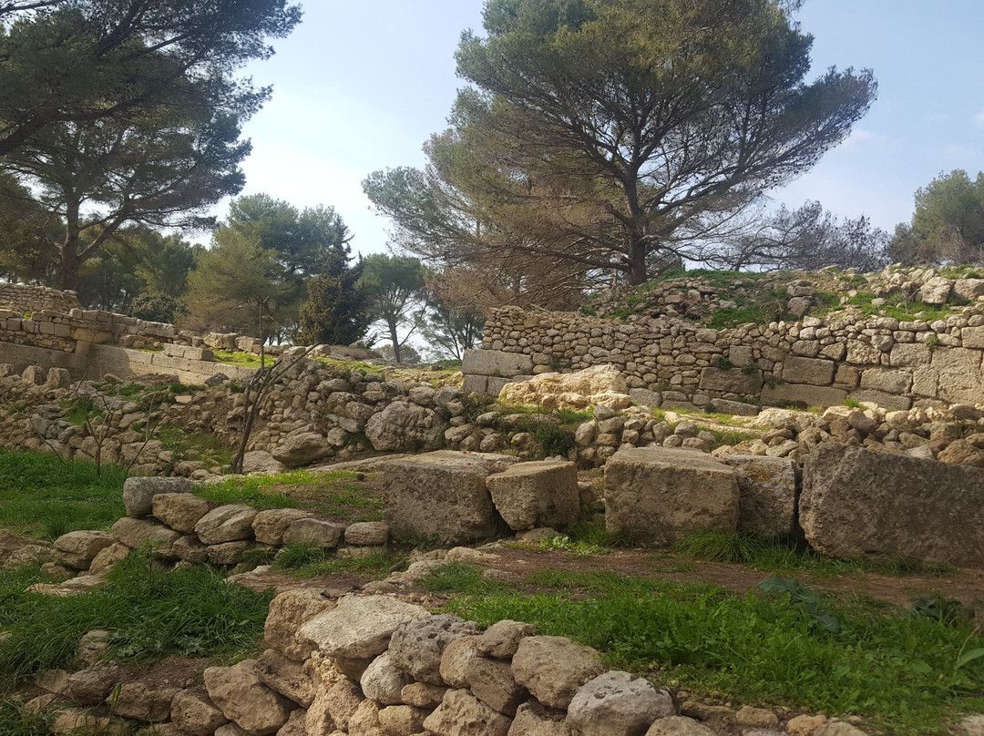 Oppidum de Saint-Blaise景点图片