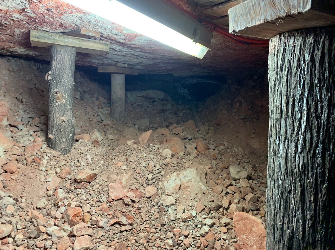 Black Opal Tours-Lightning Ridge必去景点