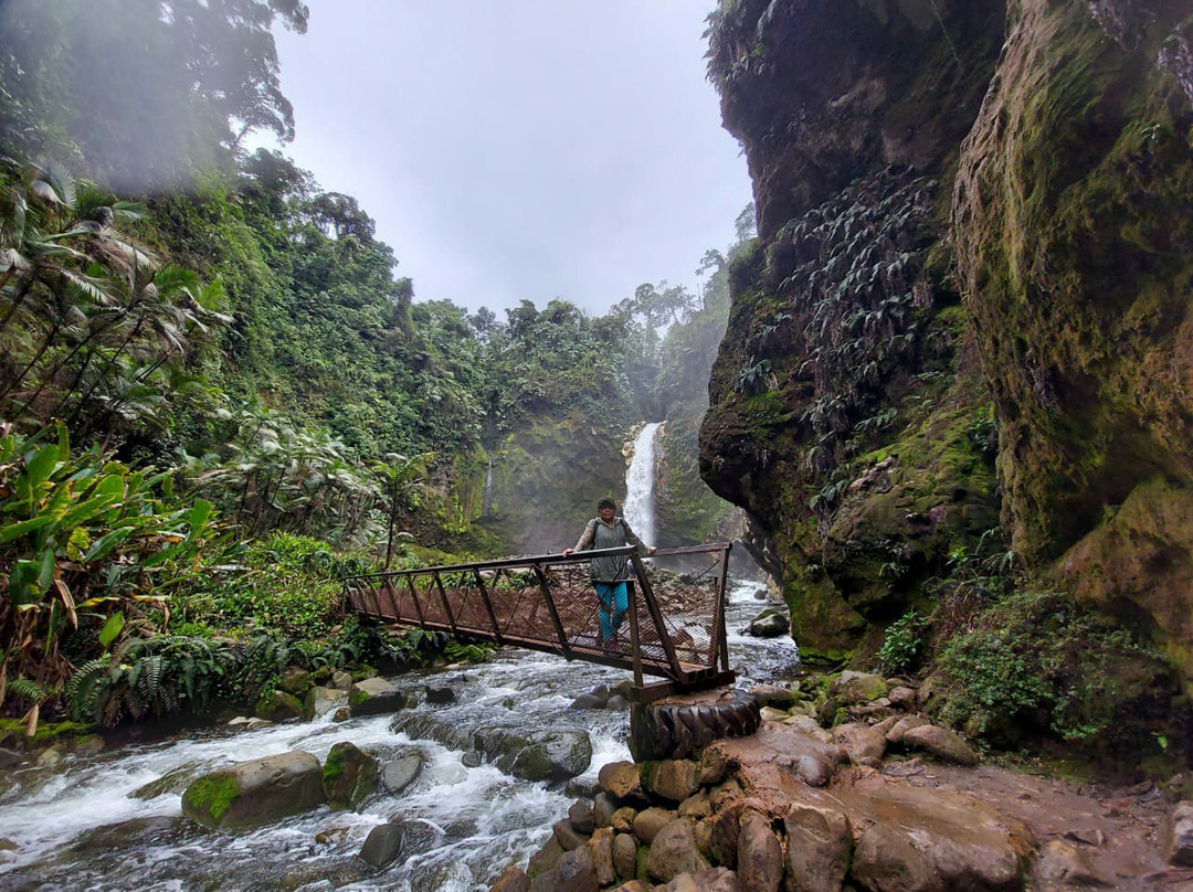 Catarata Río Agrio景点图片
