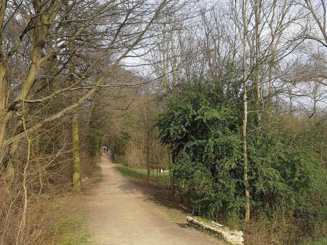 Forêt De Bondy景点图片