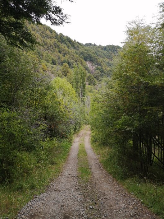 @aysen_eco_rutas-Puerto Aisen必去景点