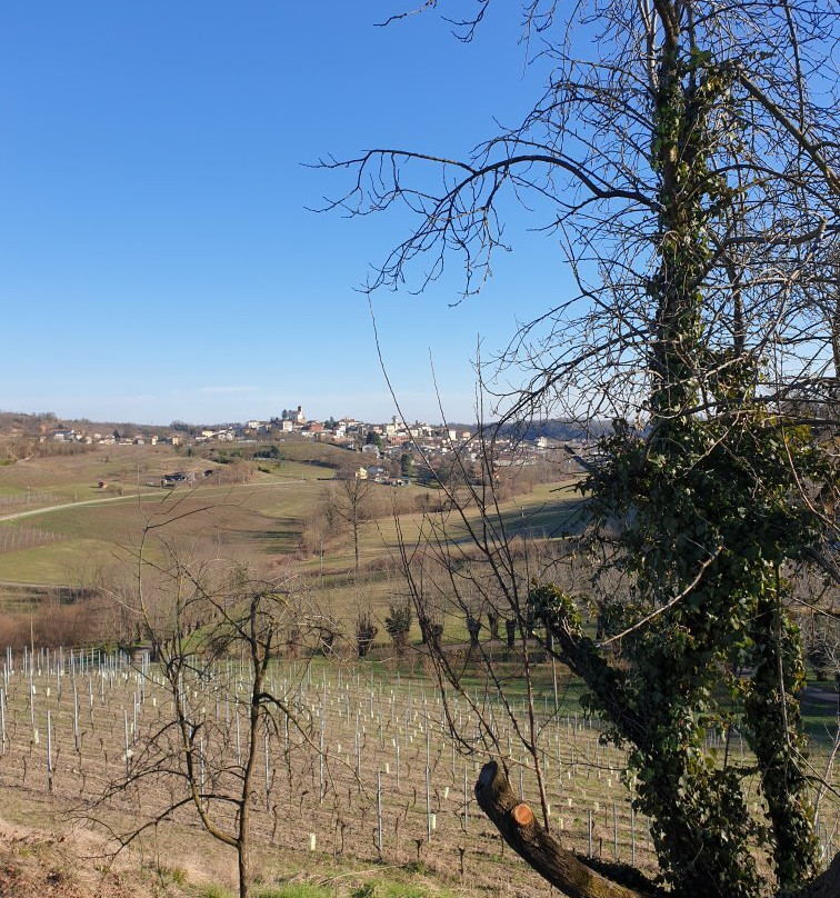 Tenuta Tamburnin主图