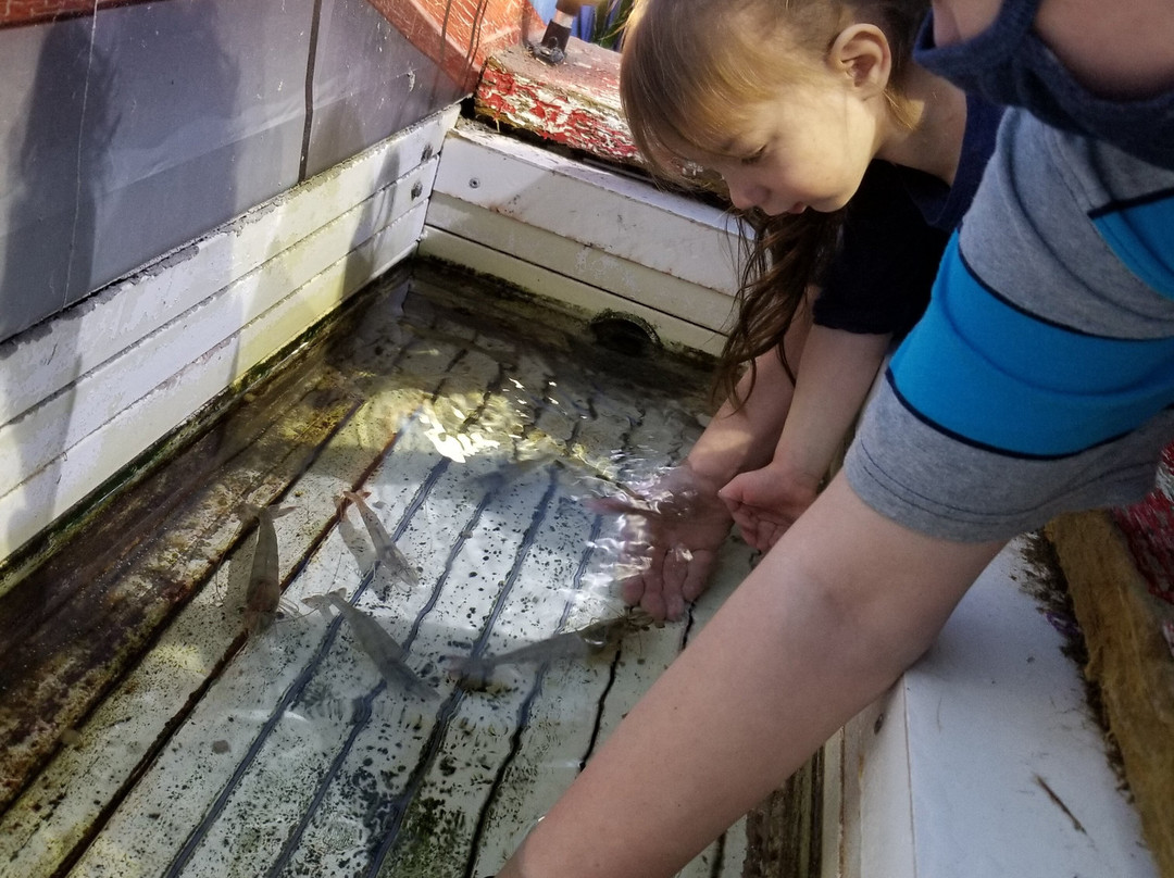 Oklahoma Aquarium-Jenks必去景点