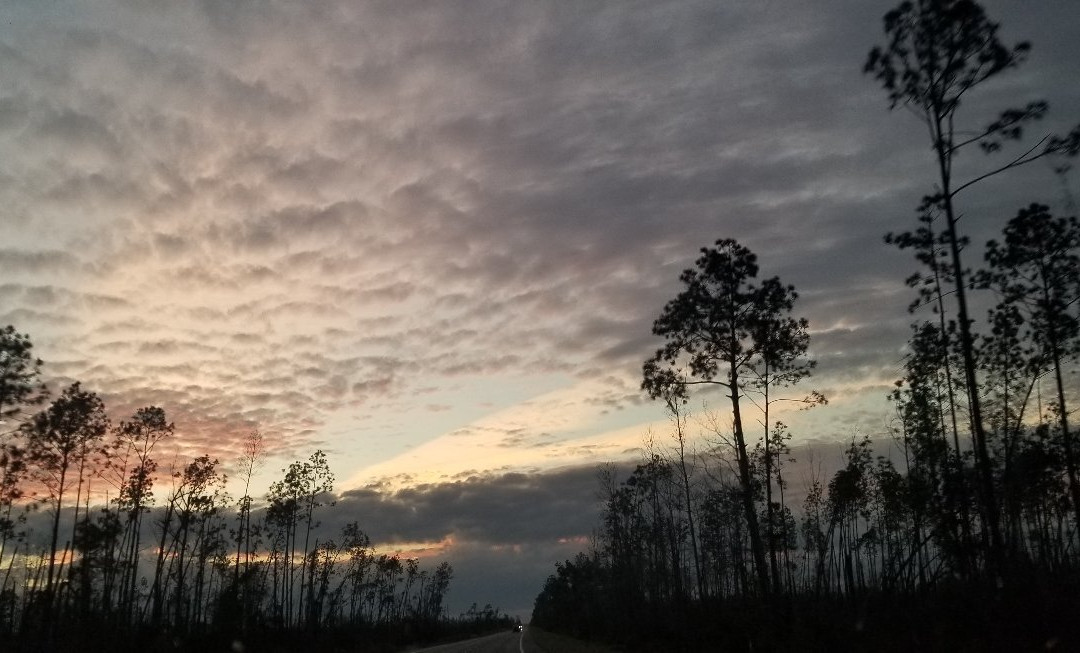 Fred Gannon Rocky Bayou State Park景点图片