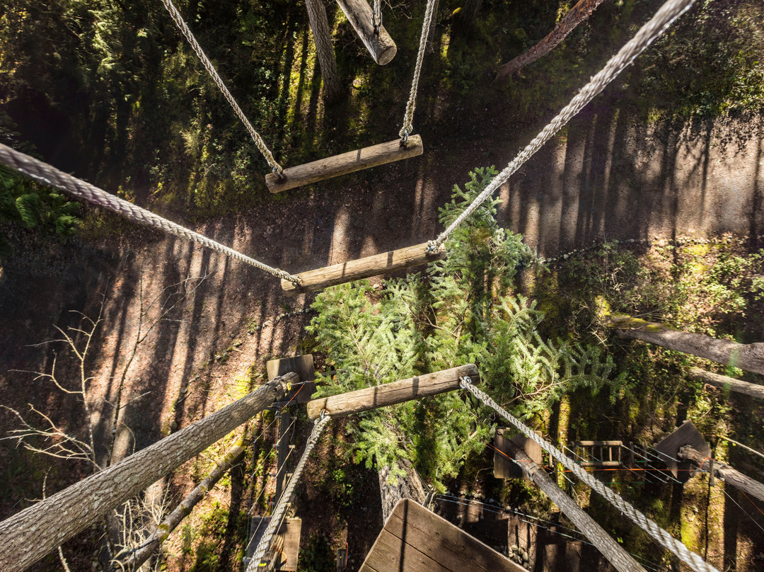 WildPlay Maple Ridge-枫树岭必去景点