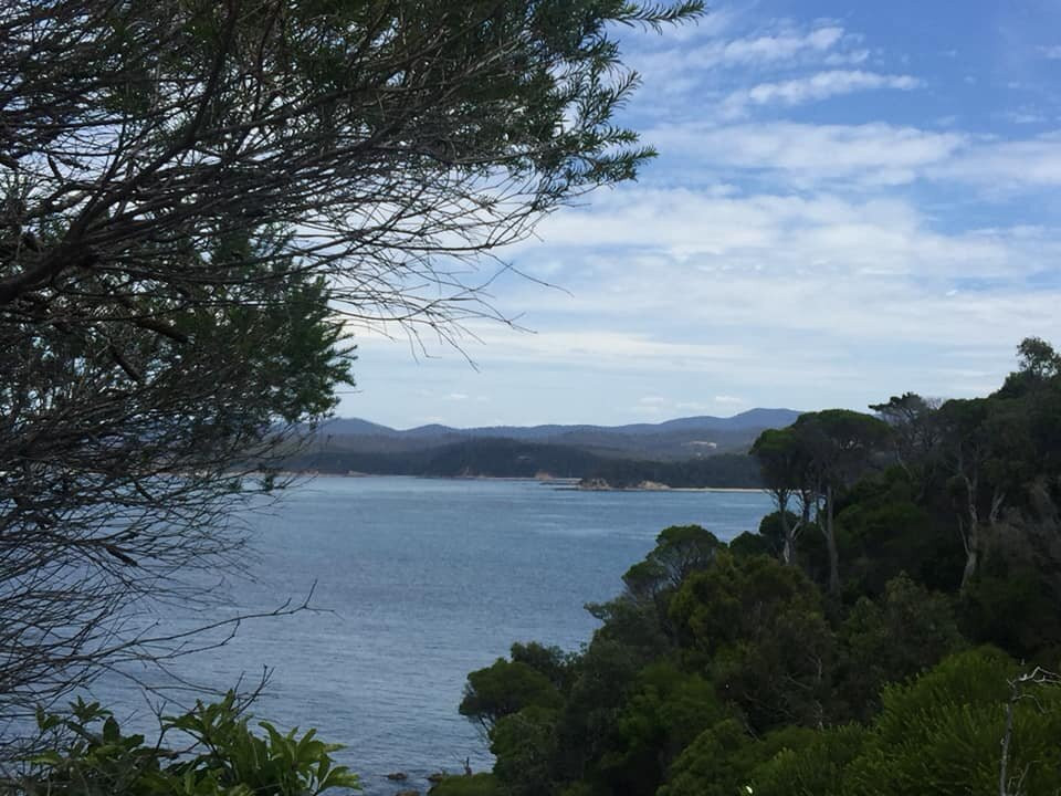 Eden Lookout and Rotary Park景点图片