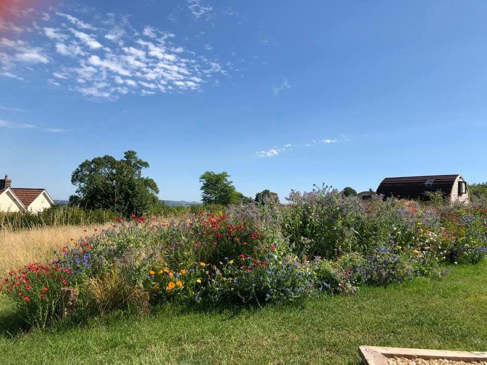 Slades Farm Bed and Breakfast with Luxury Glamping主图