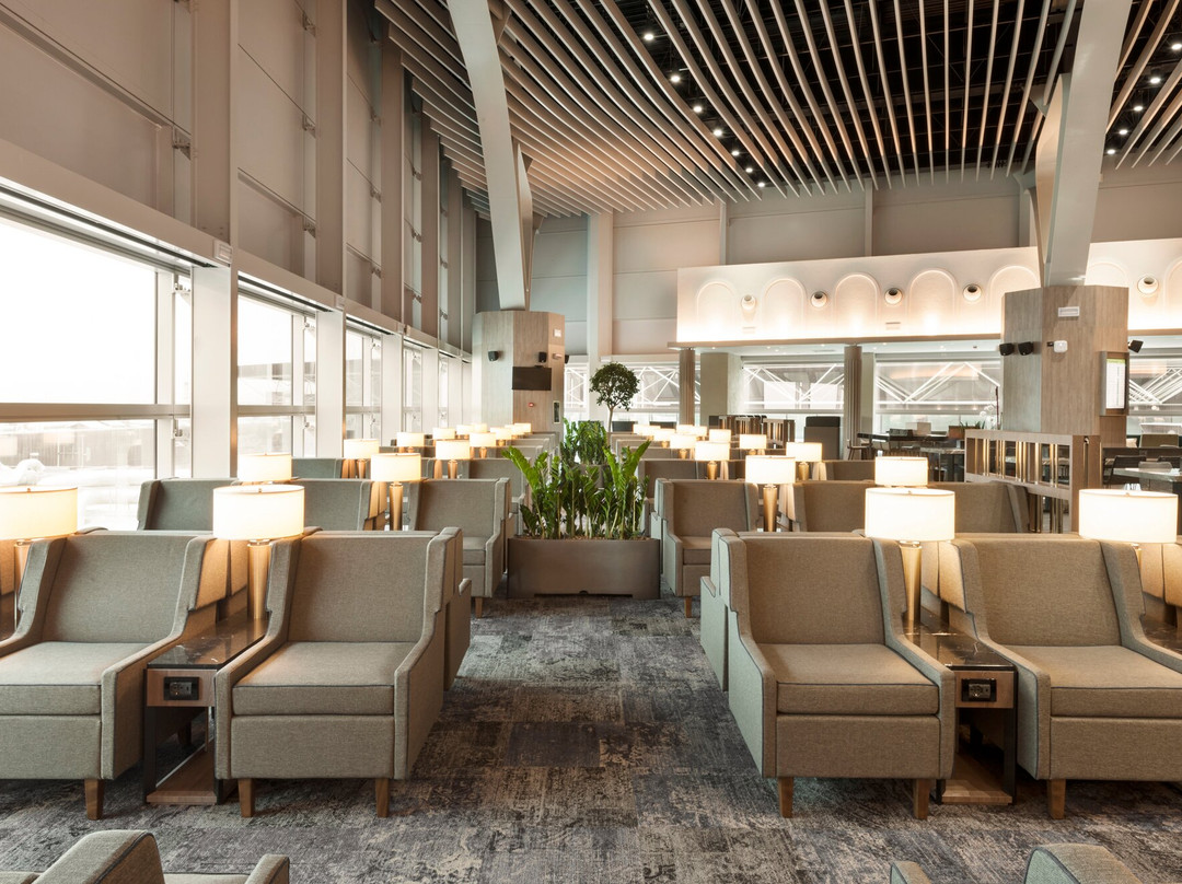 Plaza Premium Lounge (Extra Schengen Area, Departures, Terminal 3)-菲乌米奇诺必去景点