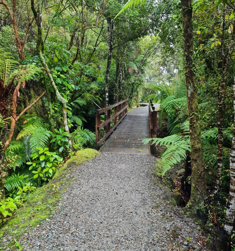 Ross Water Race Walkway景点图片