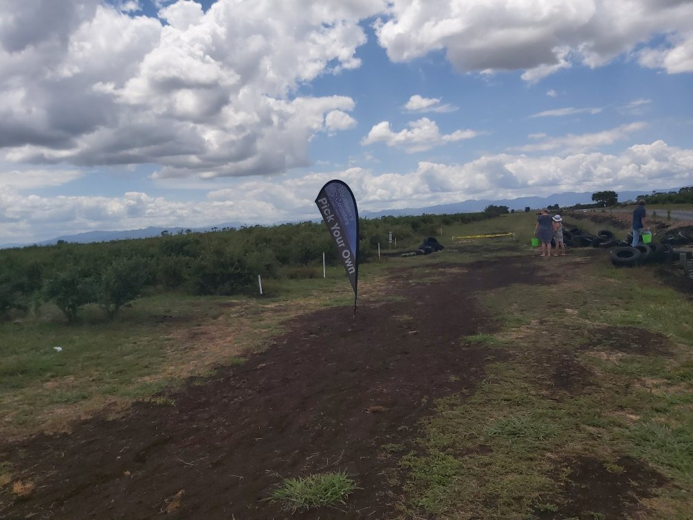 Blueberry Country Ltd.-Ngatea必去景点