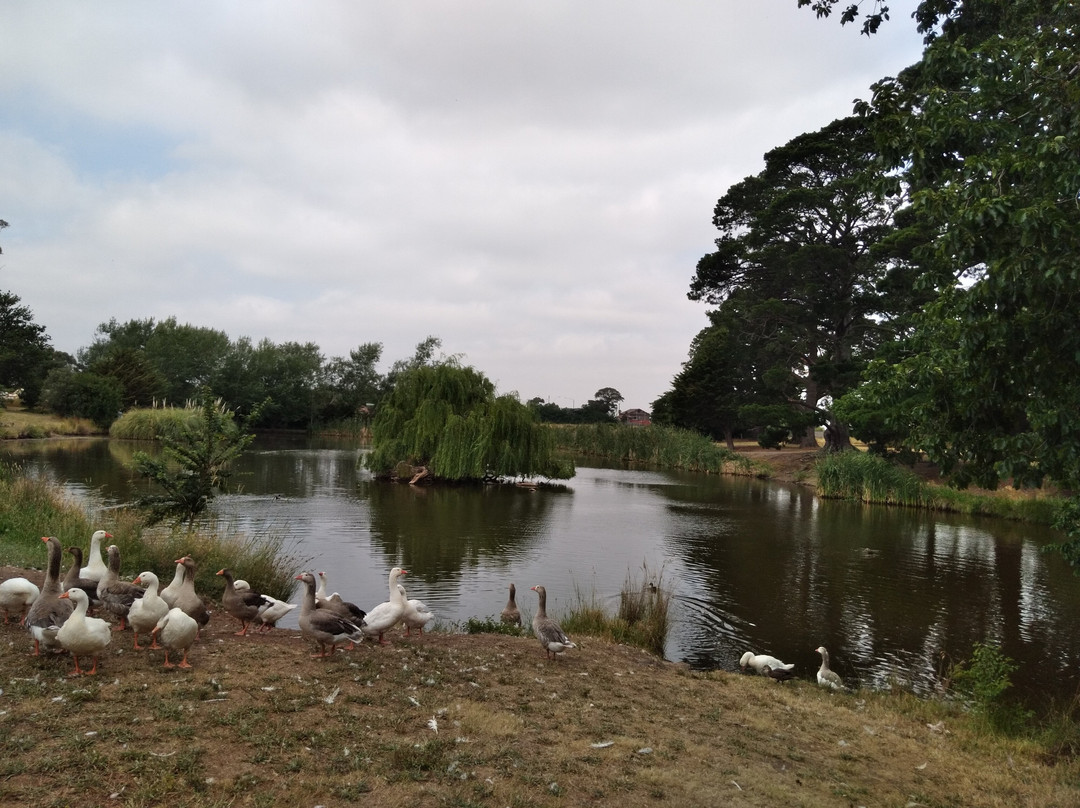 Walter J Smith Reserve-Riddells Creek必去景点