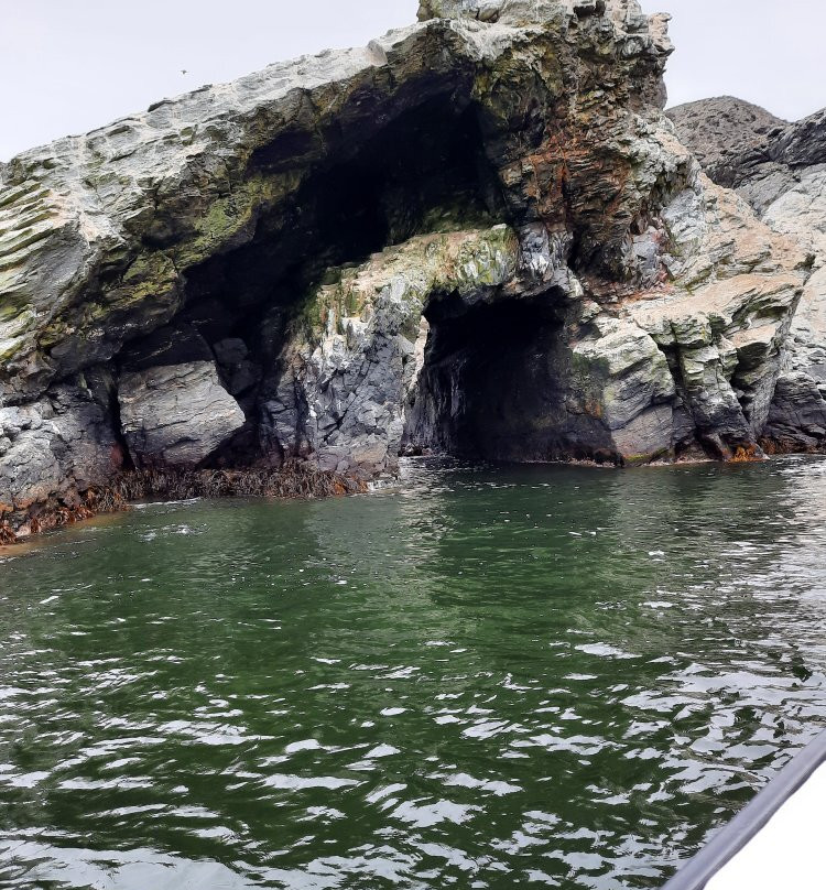 Reserva Nacional Pinguino de Humboldt景点图片