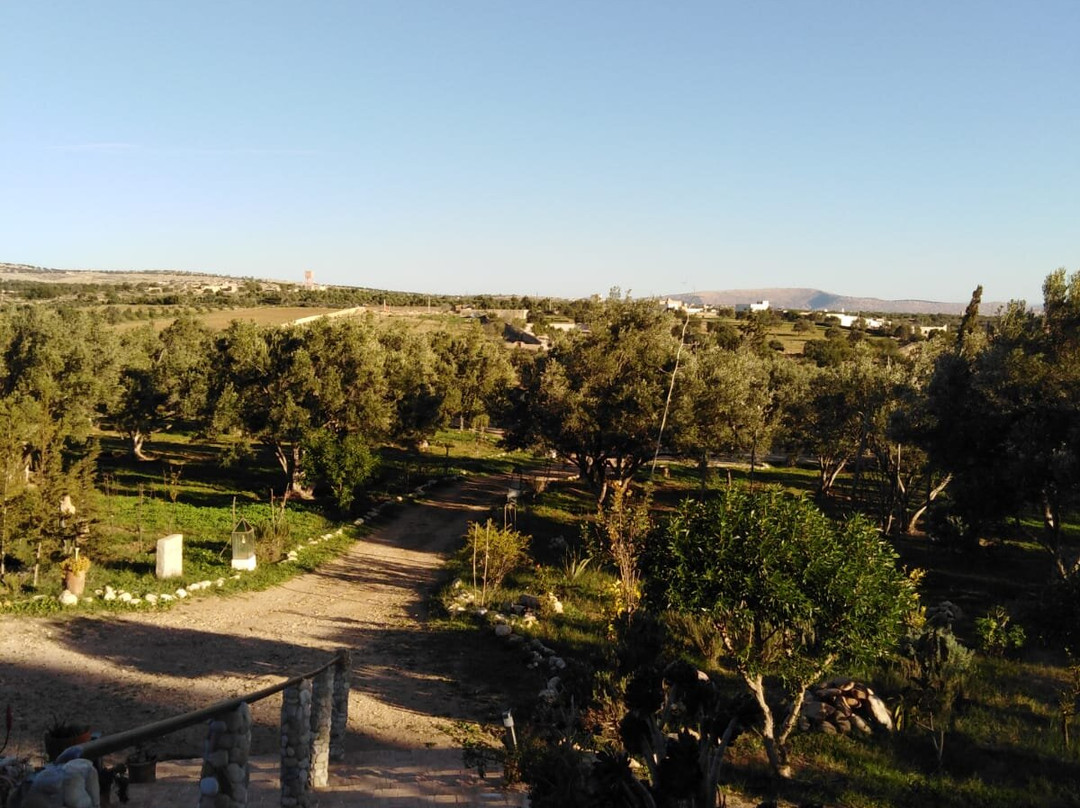 Douar Des Oliviers主图