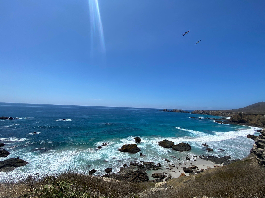 Isla de la Plata-Puerto Lopez必去景点