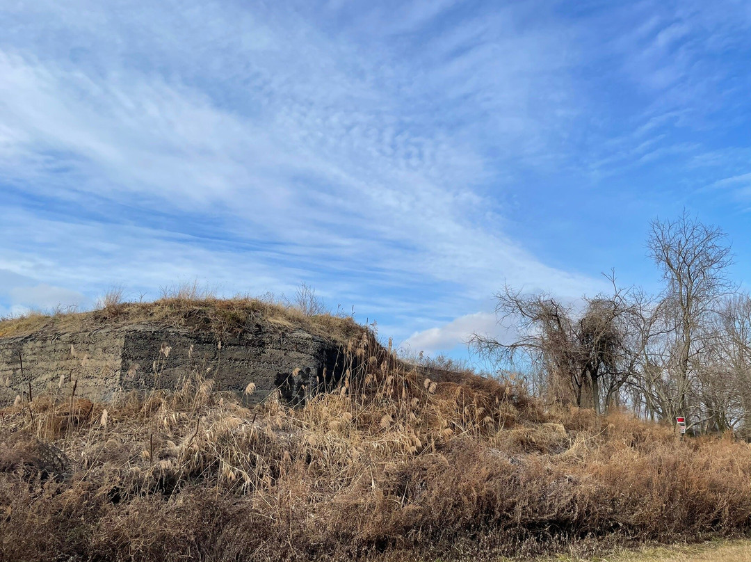 Fort DuPont State Park景点图片