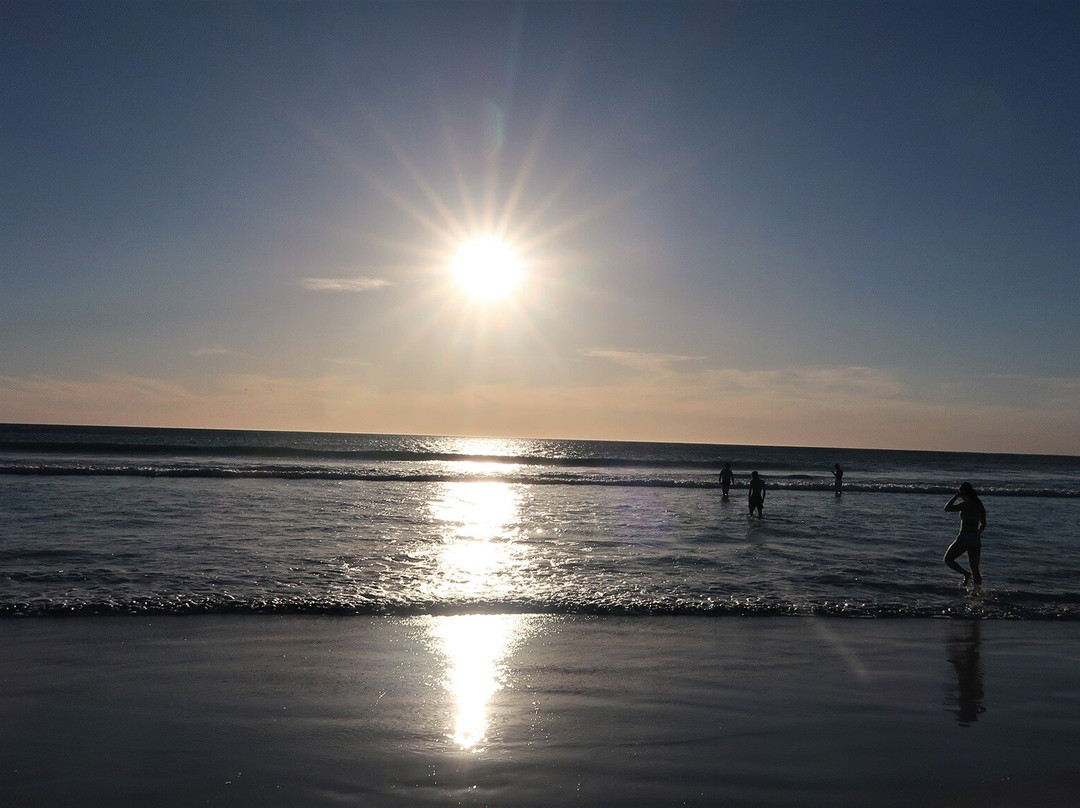 Tarcoola Beach-杰拉尔顿必去景点