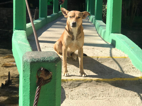 Canopy Tour El Eden-瓦拉塔港必去景点