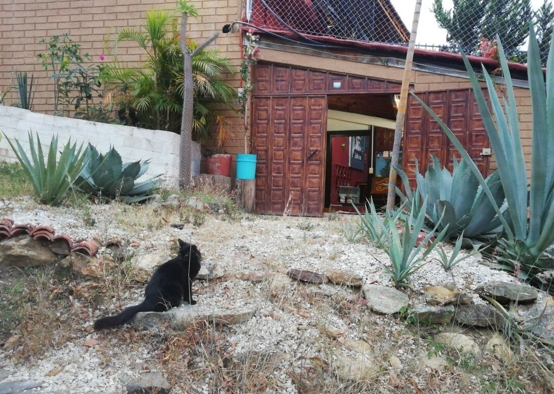 Temazcal casa las máscaras景点图片