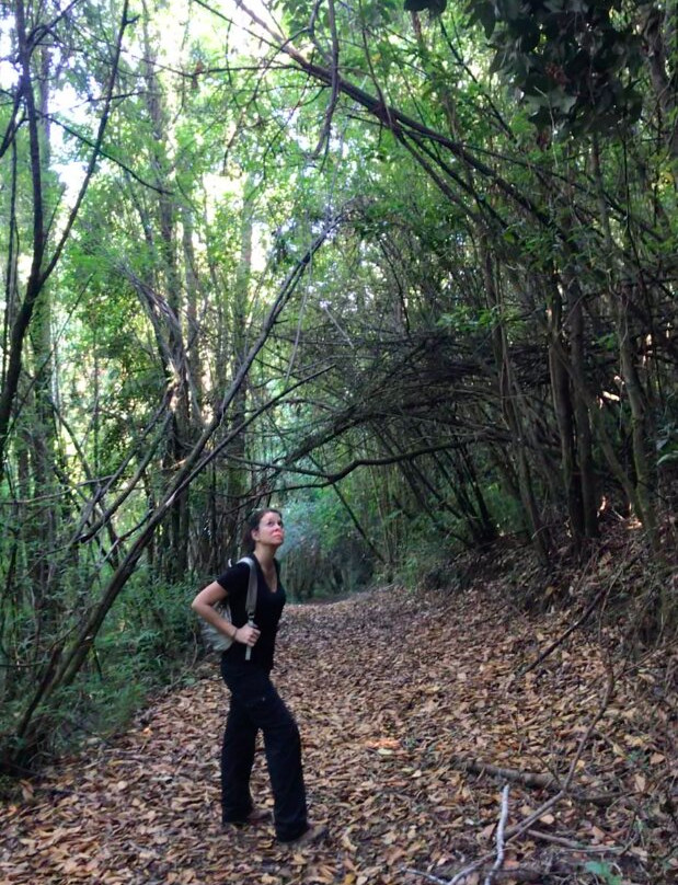 Reserva Natural El Triwe-Frutillar必去景点