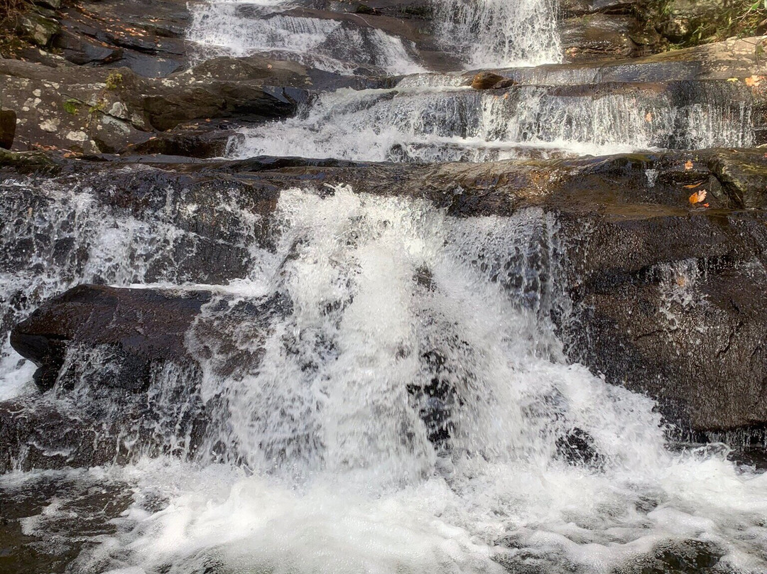 Emery Creek Trail-Chatsworth必去景点