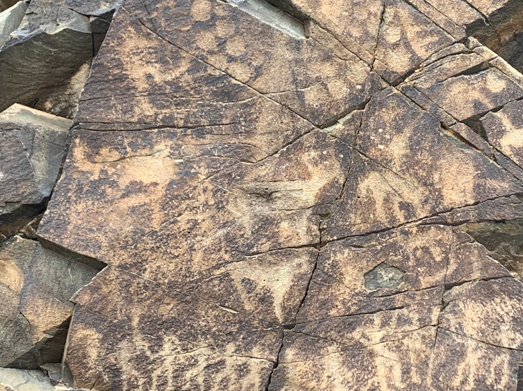 Museum-Reserve Tamgaly-Tamgaly必去景点