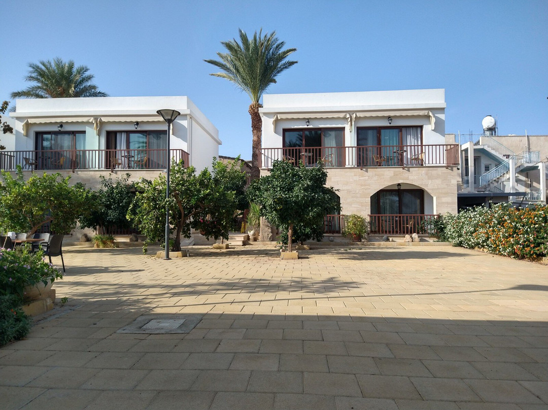 Golden Palms Guest House & Cafe主图