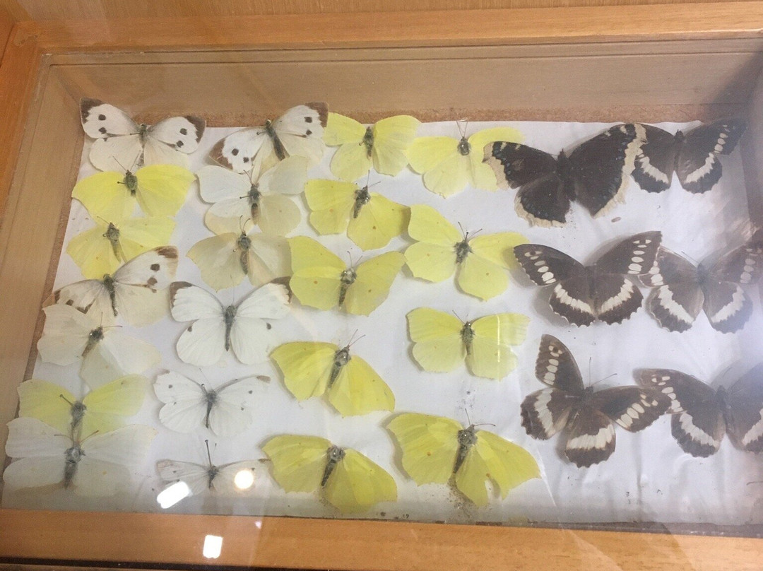 Oitis National Park-Loutra Ipatis必去景点