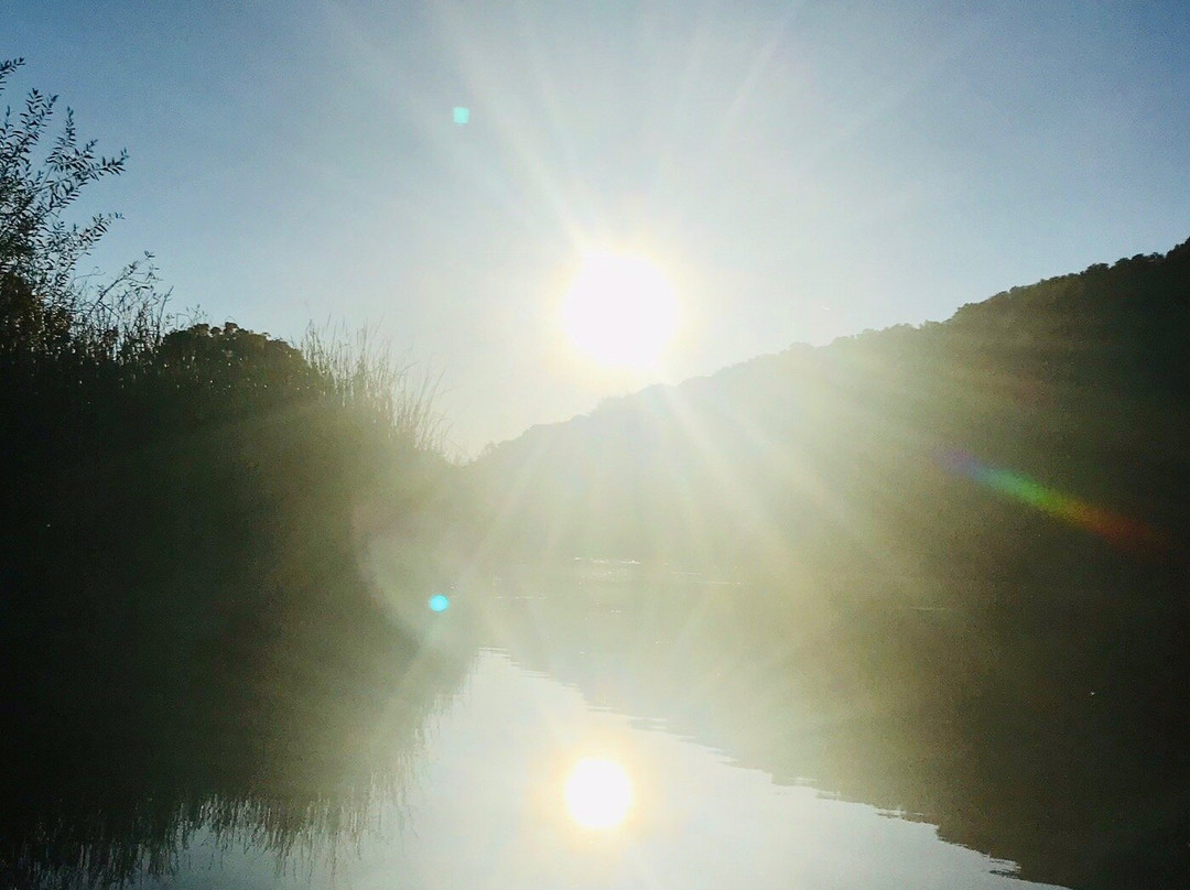 Foothills Park-帕罗奥多必去景点