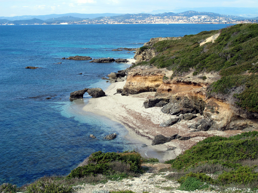 Aquarium de l'Institut océanographique Paul Ricard-Six-Fours-les-Plages必去景点
