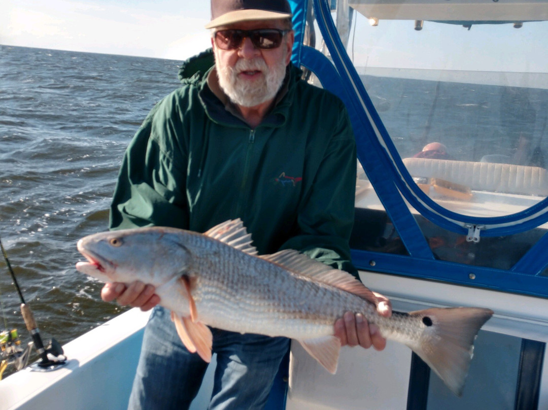 Ollie Raja Fishing Charters景点图片