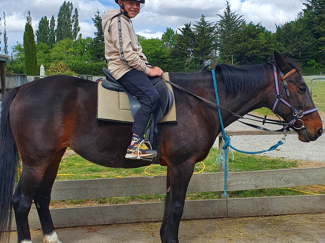 Waimak River Riding Centre Limited-基督城必去景点